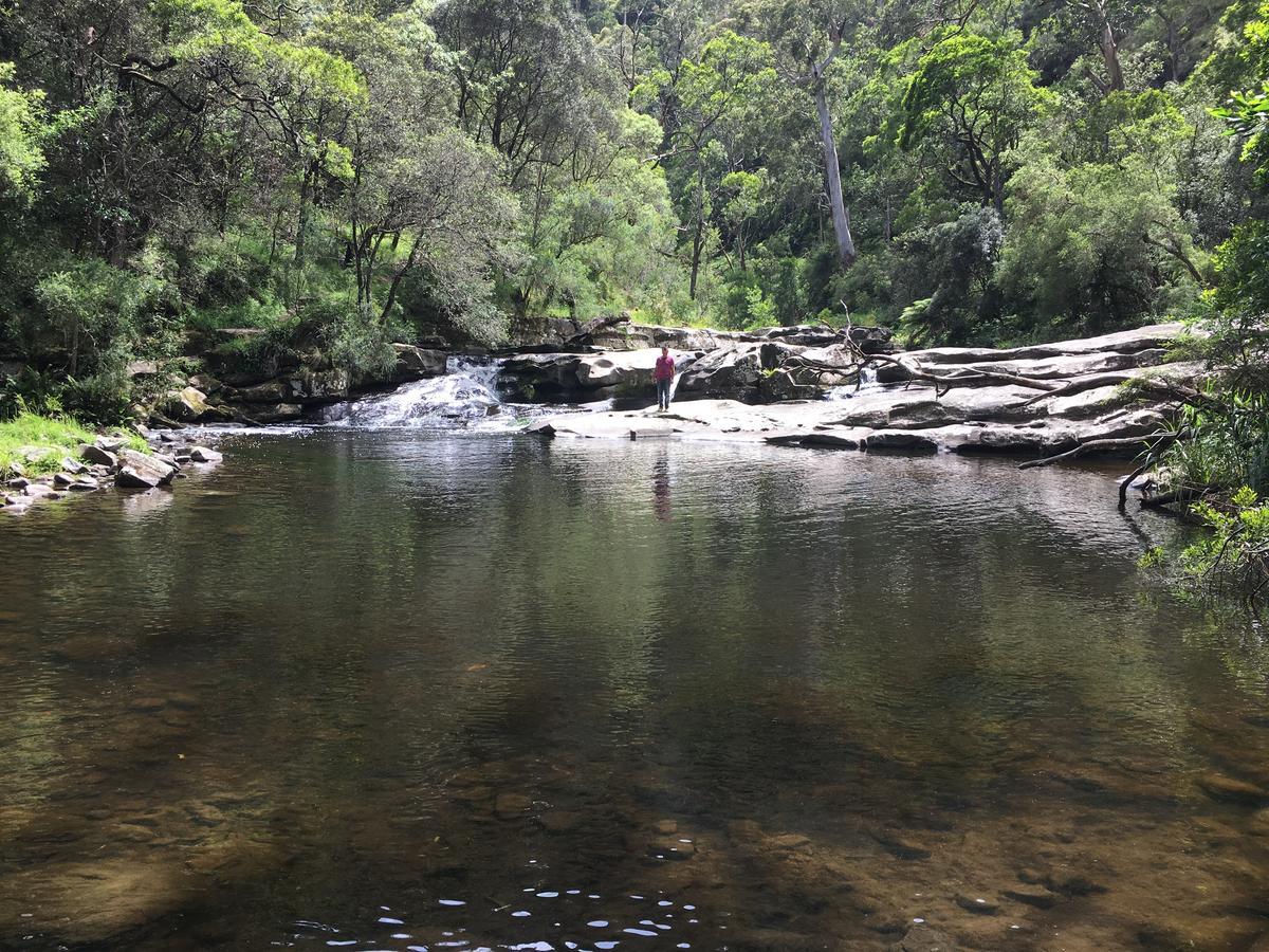 Cumberland River Holiday Park Lorne Εξωτερικό φωτογραφία